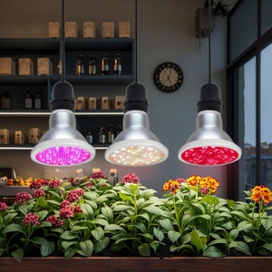 Lampe de culture LED Liweida à spectre rouge lointain 5W 660nm 730nm Epistar E26/E27/B22/Gu10 IP65 pour semis, germination et floraison - Product Image 3