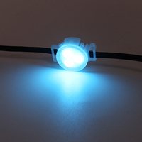 SHIJI Lumière LED Pixel Permanente pour Plafond, Effet Brouillard Blanc Lait, 30mm RGBW UCS2904, Étanche pour Extérieur, pour Lumières de Noël sur Rail