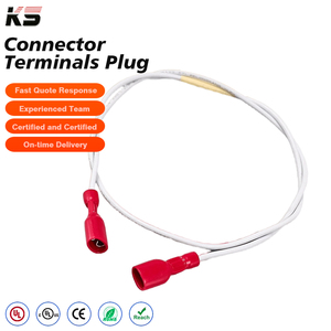Aangepaste rode kogelconnector spade-aansluiting 2-pins draadboom voor batterijpakket ledstrip licht motorverbinding OEM-assemblage - Product Image 1