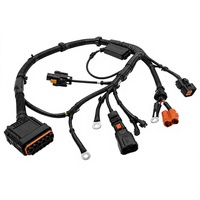 Câblage de distribution d'énergie pour véhicules électriques, assemblage de faisceaux de câbles pour les fabricants de groupes motopropulseurs électriques
