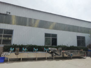 핵심 부품 펌프 모터 기어-과일 및 채소 가공 라인 습식 및 건조 잎 세척 및 건조 시스템 - Product Image 5