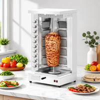 Machine à shawarma au gaz à 10 brûleurs en acier inoxydable, nouvelle conception, pour viande, grill rotatif commercial pour kebab avec une bonne vanne