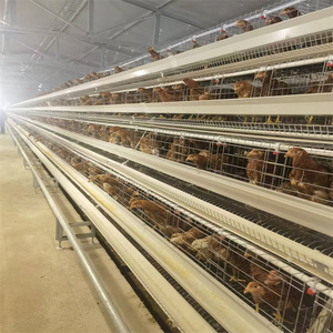 Cages à volailles neuves les plus vendues pour fermes avicoles au Pakistan – Cages à <span class=keywords><strong>poules</strong></span> <span class=keywords><strong>pondeuses</strong></span> en batterie en promotion - Product Image 5