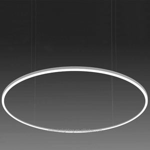 Lustre à anneau en aluminium de conception créative 1500mm de diamètre pendentif LED argenté luminaire suspendu avec <span class=keywords><strong>cordons</strong></span> réglables et auvent - Product Image 5