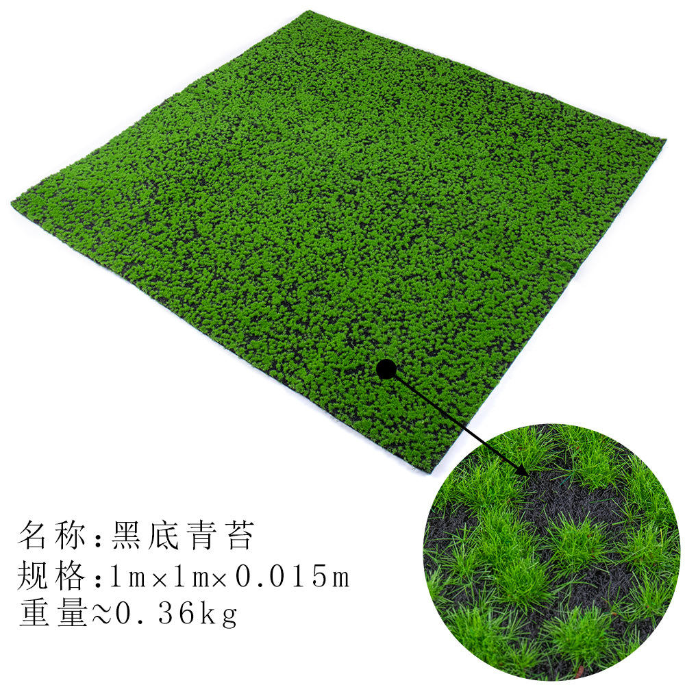 Moss on black background