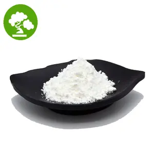 Factory Supply Cosmetic Grade 99% Snow White Powder For Skin Whiting