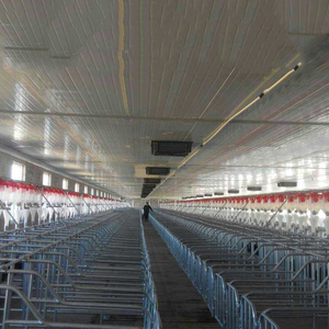 Nouvelle cage de mise bas pour porcs gestantes, équipement d'élevage, acier galvanisé à chaud, longue durée de vie - Product Image 5