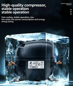 Refrigerador y Congelador de Alta Eficiencia con Compresor de Temperatura Simple/Doble para Debajo del Mostrador, Ideal para Cocina y Hogar, Robusto y Duradero - Product Image 3
