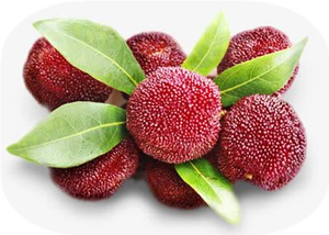 <span class=keywords><strong>Yumberry</strong></span>ジュースパウダーワックスベリーエキスパウダーベイベリーフルーツパウダー無料サンプル付き - Product Image 4