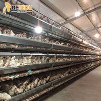 Volaille — Tunnel préplumé de 15mm, Structure en acier ventilée, maison de volaille pour poulet