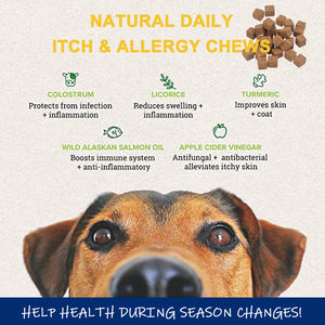 Suplemento para mascotas Sistema de defensa contra alergias multiacción para mascotas-8 antihistamínicos <span class=keywords><strong>naturales</strong></span> - Product Image 2