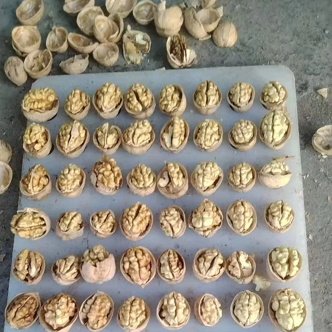 Organic 185 Thin-Shell Walnuts in Bulk Full Nutritious Superior Nuts with Healthy Fats Raw Dried Style Excellent for Snacks