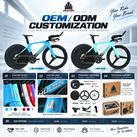 Vélo de triathlon professionnel T800 en fibre de carbone, vélo de course aérodynamique sans fil 2x12 vitesses avec freins à disque et roues en carbone