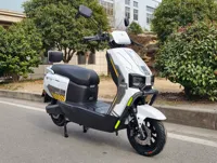 Sepeda Motor Listrik Dewasa Jarak Jauh 1000W, Skuter Listrik Komuter Kecepatan Tinggi