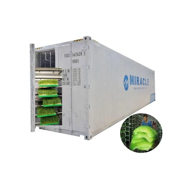 1.5 Tấn Sản Lượng Hàng Ngày Vận Chuyển Loại Container Hydroponics Lúa Mạch Máy Thức Ăn Gia Súc Màu Xanh Lá Cây Thức Ăn Gia Súc