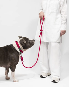 Nouveau collier de laisse de chien de luxe et conception de laisse en nylon paracorde pour le confort et le style des compagnons canins actifs - Product Image 1