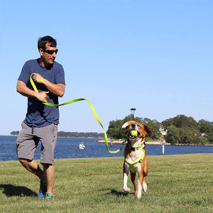 ชุดสายรัดสุนัขแบบสวม Solid Fashion - ปรับได้ ไม่รัดคอ พร้อมแผ่นรองรับ ระบายอากาศได้ดี สำหรับลูกสุนัขถึงสุนัขสูงวัย ปลอดภัยและสวมใส่สบาย - Product Image 2