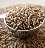 Graines de cumin séchées brutes de haute qualité en gros, épices séchées, cumin, échantillon disponible