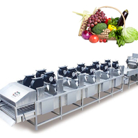Industriële automatische wasmachine voor commerciële bladgroenten, fruit en groenten, van roestvrij staal SUS304.