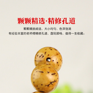 Longan Bodhi Seed <b>Bracelet</b> 13mm Single Strand Unisex Buddhist Beads Gift - Product Image 3