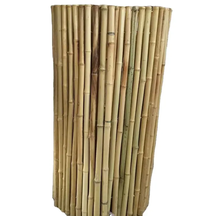 Hoge Kwaliteit Bamboe Materiaal Stakes Bamboe Polen Moso Behandeld Kunstmatige Ruwe Bamboe Polen