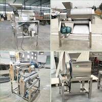 Fruit- en pitverwijderaar, -pulper en -afwerkmachine voor frambozen, guave, druiven, zuurzak, mango en appel puree.