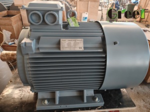 เครื่องกำเนิดไฟฟ้าแม่เหล็กแรงบิดสูง ประสิทธิภาพสูง 500w ถึง 5MW รอบต่ำ 220v 380V 50 Hz 60 รอบต่อนาที สำหรับพลังงาน - Product Image 3