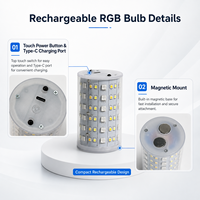 Ampoule LED RGB rechargeable avec base magnétique Type-C E27, télécommande tactile, 6000 mAh, pour lampe murale, lumière d'ambiance