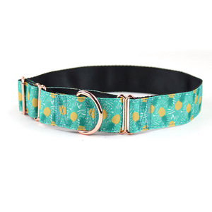 Collar de entrenamiento para mascotas acolchado ajustable personalizado al por mayor del fabricante Collar de perro Martingale adecuado para perros medianos y grandes - Product Image 2