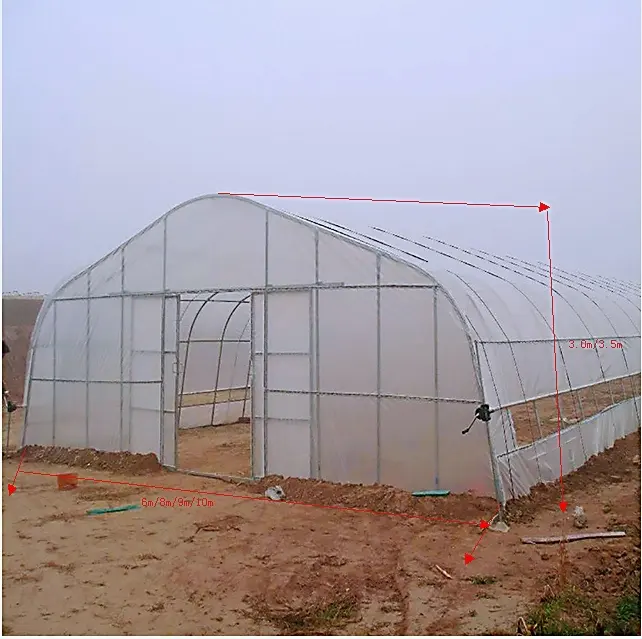 Hangmei low costs walkin greenhouse single-span poly tunnel invernadero smart greenhouse