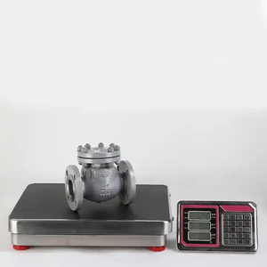 Trung Quốc Nhà Cung Cấp Api 2 Inch Thủy Lực Đu Một Cách Wcb Carbon Đúc Một Cách Kiểm Tra Van Cho Khí Đốt Tự Nhiên - Product Image 6