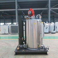 Chaudière à vapeur verticale basse pression industrielle de 100 kg avec brûleurs automatiques pour hôtels et usage de chauffage