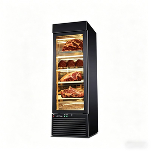 Congelador de carne de una sola puerta |   Refrigerador de Curación de Carne con Ventilación y Control Digital para Maduración en Seco de Carne de Res - Product Image 3