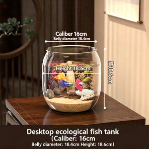 <span class=keywords><strong>Acquario</strong></span>, Vasca Ecologica Trasparente, Elemento Decorativo per Soggiorno, Paesaggio in Miniatura, <span class=keywords><strong>Acquario</strong></span> per Pesci Betta, Terrario per <span class=keywords><strong>Tartarughe</strong></span> - Product Image 3