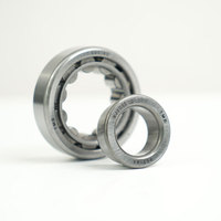 Roulement à rouleaux cylindriques à une rangée TMB Original NUP311E ouvert |   P6 Precision Factory Direct & OEM Ready