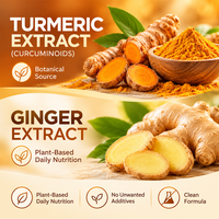 Capsules de Curcuma et Gingembre OEM à Base Végétale, Complément Alimentaire Quotidien à Base de Plantes, Formule Personnalisée Marque Privée, Fabrication en Usine