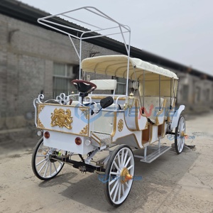 Electric Sightseeing Carriage White Simple Classic Wedding Decoration Multi-occasion Sightseeing Carriage Sells Well - Product Image 2