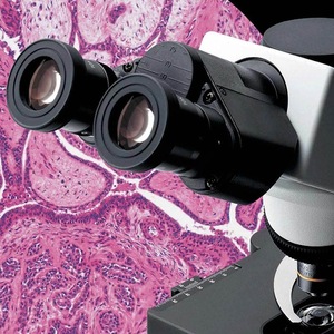 Microscope à champ clair trinoculaire Olympus Cx31 avec objectif 10x20x pour usage en laboratoire - Product Image 3