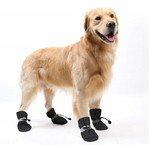 Zapatos para Perro, <span class=keywords><strong>Botas</strong></span> Impermeables Antideslizantes, Calcetines para Cachorros y Gatos, <span class=keywords><strong>Botas</strong></span>, Sapato - Product Image 1