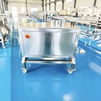 Keukenapparatuur RVS Elektrische Fruit- en Groentesnijder Automatische Gember Radijs Aardappel Snijmachine
