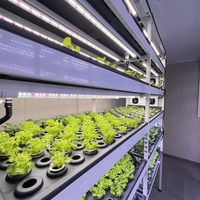 Kit de culture hydroponique d'intérieur intelligent-Solution de croissance des plantes avec réservoir d'eau intégré et lumières LED