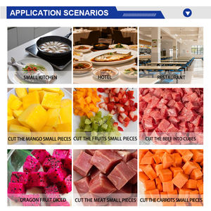 Máquina Comercial para Cortar <span class=keywords><strong>Carne</strong></span> <span class=keywords><strong>de</strong></span> Res, Bloques <span class=keywords><strong>de</strong></span> <span class=keywords><strong>Carne</strong></span> Congelada, Piezas <span class=keywords><strong>de</strong></span> Pollo, Maquinaria para Procesar <span class=keywords><strong>Carne</strong></span>, Máquina para Cortar <span class=keywords><strong>Carne</strong></span> en Brochetas - Product Image 5