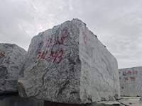 Bloc de granit gris de Shandong TY, coupé à la machine, écologique, solution globale moderne, support technique en ligne, Villa Park