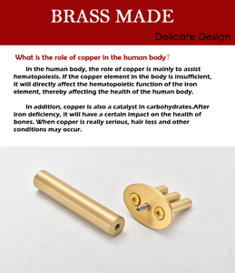 Masajeador de puntos de meridianos magnéticos tradicional, dispositivo de belleza de drenaje de ácido linfático de acupresión, magnetoterapia, horquilla de pluma GUASHA - Product Image 5