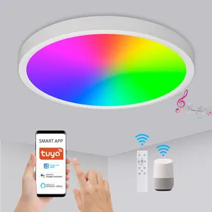 Lampu langit-langit Led warna RGB, kamar tidur ruang tamu bentuk bulat Tuya Wifi 24w dapat diredupkan