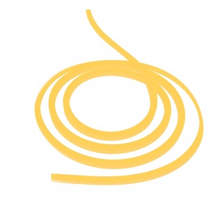 Lumières LED néon RGB étanches en silicone à double couche IP65 pour la publicité commerciale - Product Image 1