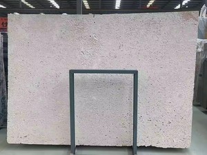 Agujeros <span class=keywords><strong>de</strong></span> piedra <span class=keywords><strong>de</strong></span> Coralstone natural sin relleno blanco crema Coral travertino <span class=keywords><strong>Coralina</strong></span> piedra losas azulejos Panel <span class=keywords><strong>de</strong></span> pared - Product Image 4