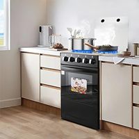 Four à convection électrique en acier inoxydable, grill à gaz, 4 brûleurs, allumage électronique, cuisinière autonome, capacité 60L