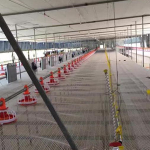 צינור שתיית מים מתקן משותף לשתייה אוטומטית שתיית פטמות חזיר עוף עם כוסות טפטוף לחזיר לשתות מים ארנב - Product Image 6