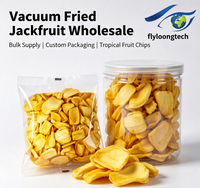 Vacuümgefrituurde Jackfruit Chips Natuurlijk Tropisch Fruit Knapperig Laag in Olie VF Jackfruit voor Retail Snack Mix en Snoepgoed